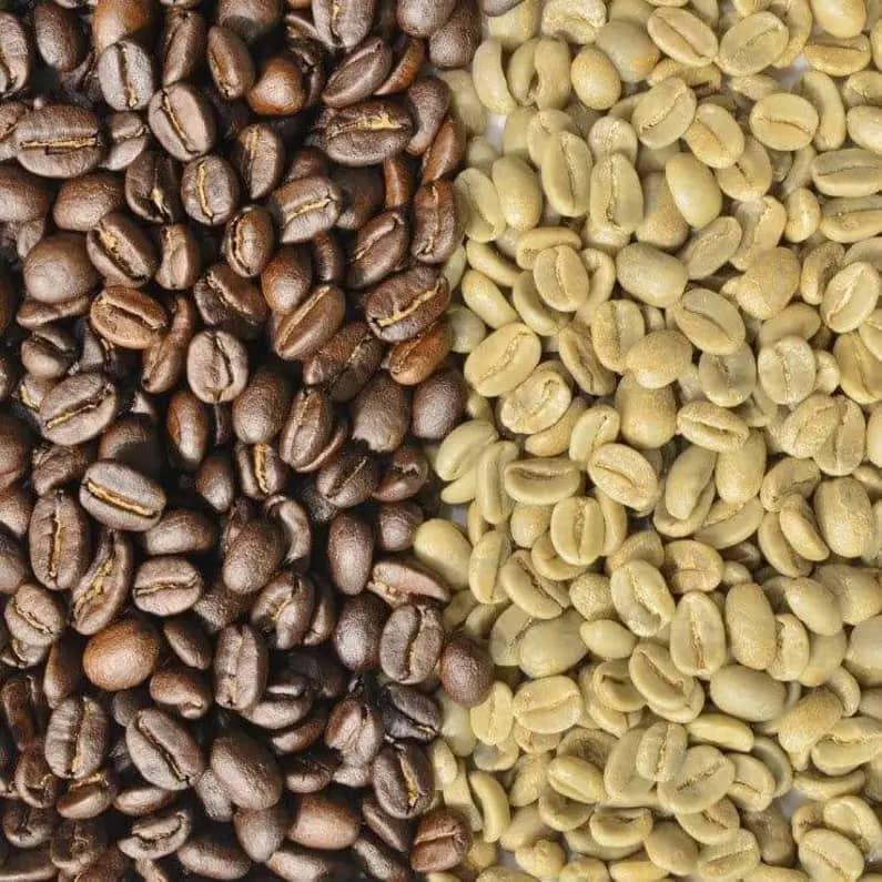 Kenyan coffee beans