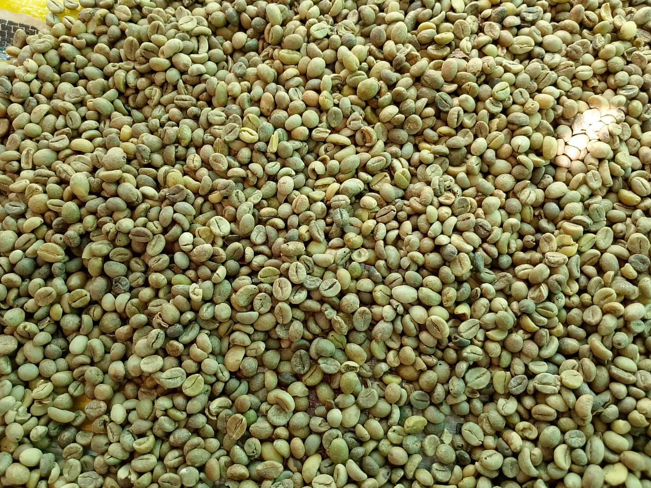 Specialty Kenyan coffee